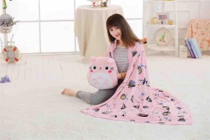 ภาพหน้าปกสินค้าหมอนผ้าห่ม Totoro โทโทโร่ ซึ่งคุณอาจชอบสินค้านี้