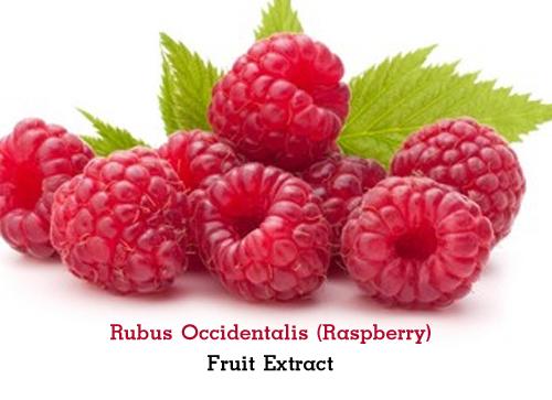 Rubus-Occidentalis-(Raspberry)-Fruit-Extract.jpg
