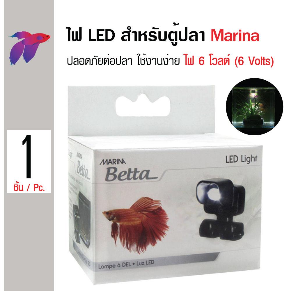 Marina betta 2024 led light