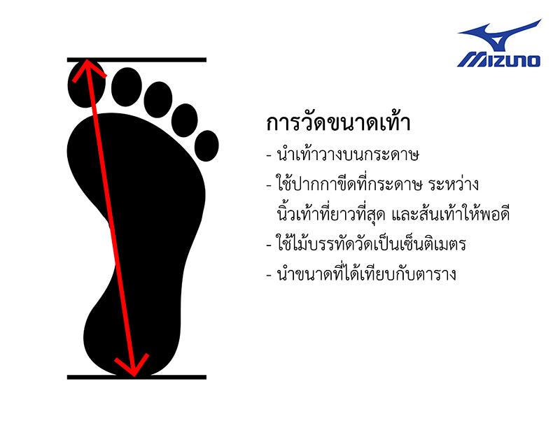 Hand_Foot_measure-01-800px.png