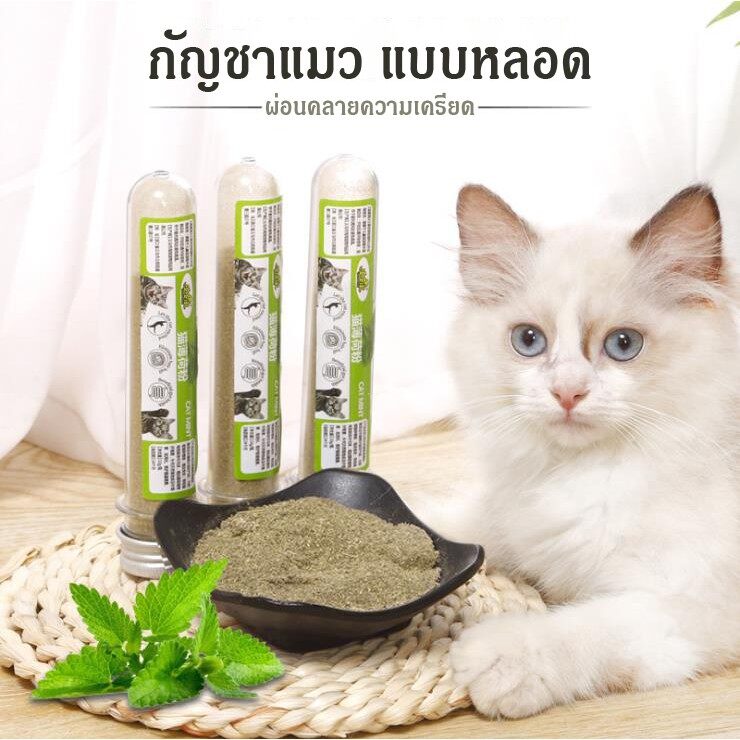 แคทนิป กัญชาแมว เพิ่มความฟิน ไว้โรยที่นอน ที่ลับเล็บ สินค้าดี ราคาถูก พร้อมส่งในประเทศไทย  #P146Others