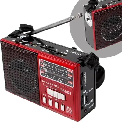 Telecorsa วิทยุ AM/FM PAE PL-001 2U คละสี มีไฟฉาย รุ่น PL-001-2U-06A-song