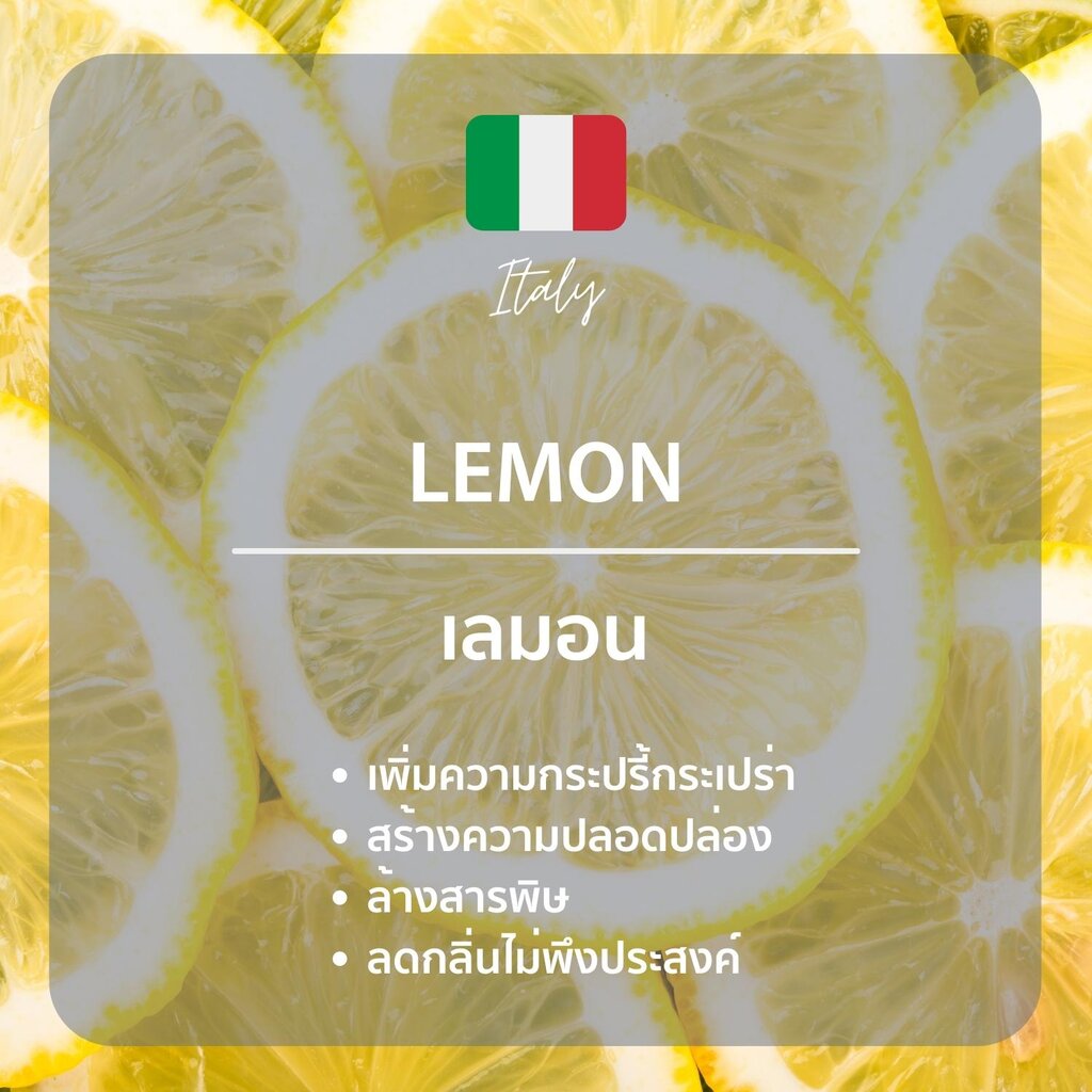 Hanky House น้ำมันหอมระเหย สกัดธรรมชาติ 10มล Aroma Pure Essential Oil น้ำมันหอม น้ำหอมอโรม่า น้ำมัน อโรม่า EO