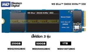 สินค้า 250GB|500GB|1TB SSD (เอสเอสดี) WD BLUE SN550 PCIe/NVMe M.2 2280 (WDS250G2B0C|WDS500G2B0C|WDS100T2B0C) ประกัน 5 ปี Synnex