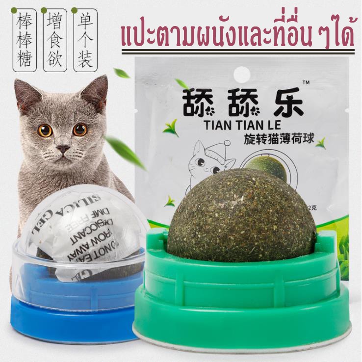 แคทนิป​ กัญชาแมว​ สมุนไพรแมวเลีย​ มีแผ่นแปะกำแพง บอลสมุนไพร​ ลูกบอลแมวเลีย ball herb #P145
