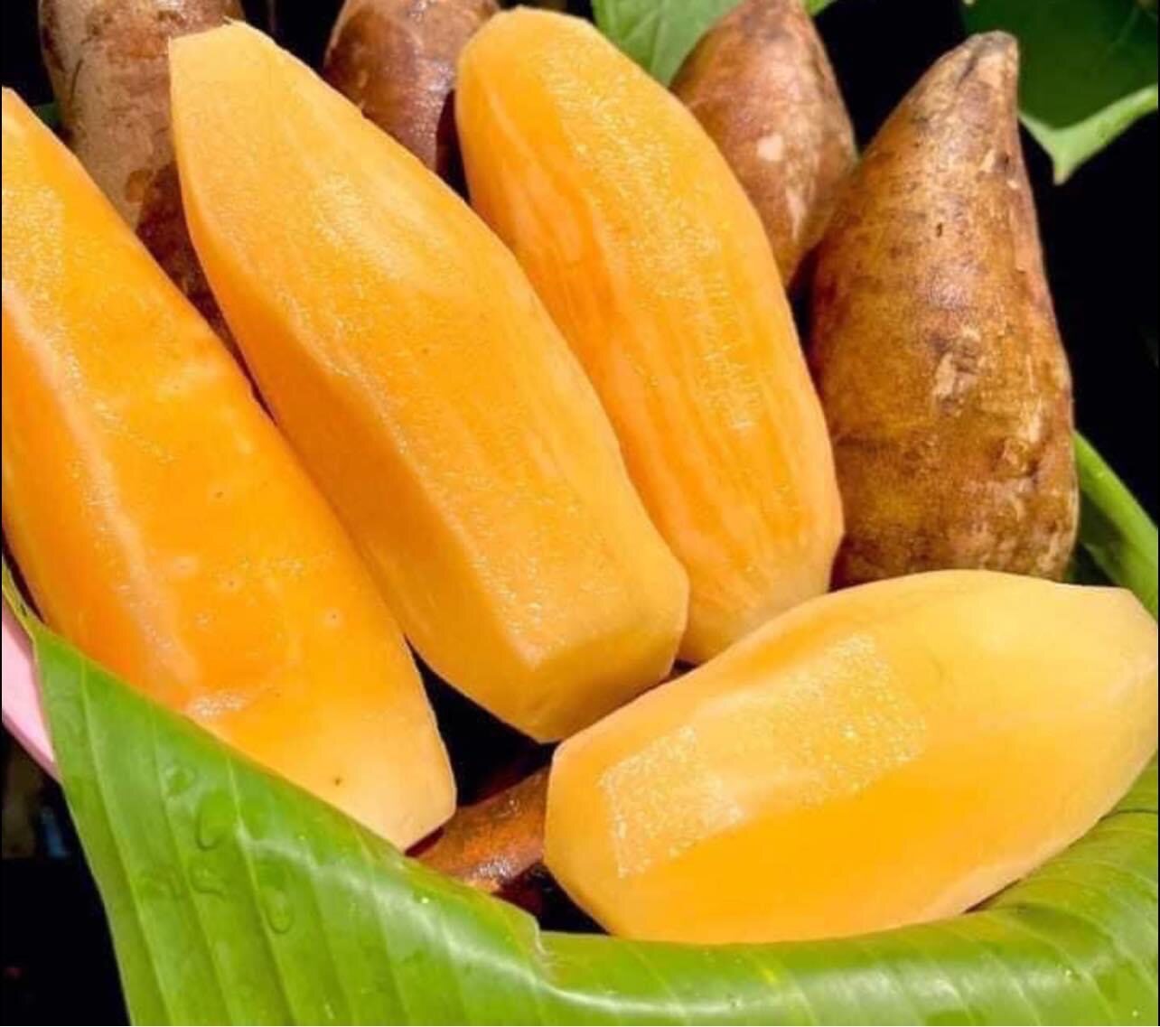 ✅ ขายดี Yacon บัวหิมะ บัวหิมะสด ?? บัวหิมะจากดอยอ่างขาง ผลไม้เมืองหนาวดอยอ่างขาง มีให้เลือกหลายไซส์ ขนาด1กิโลกรัม