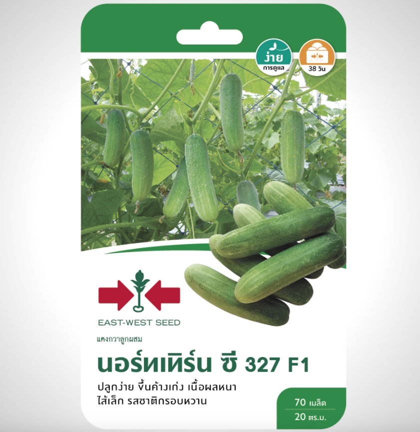 สีเขียว-1