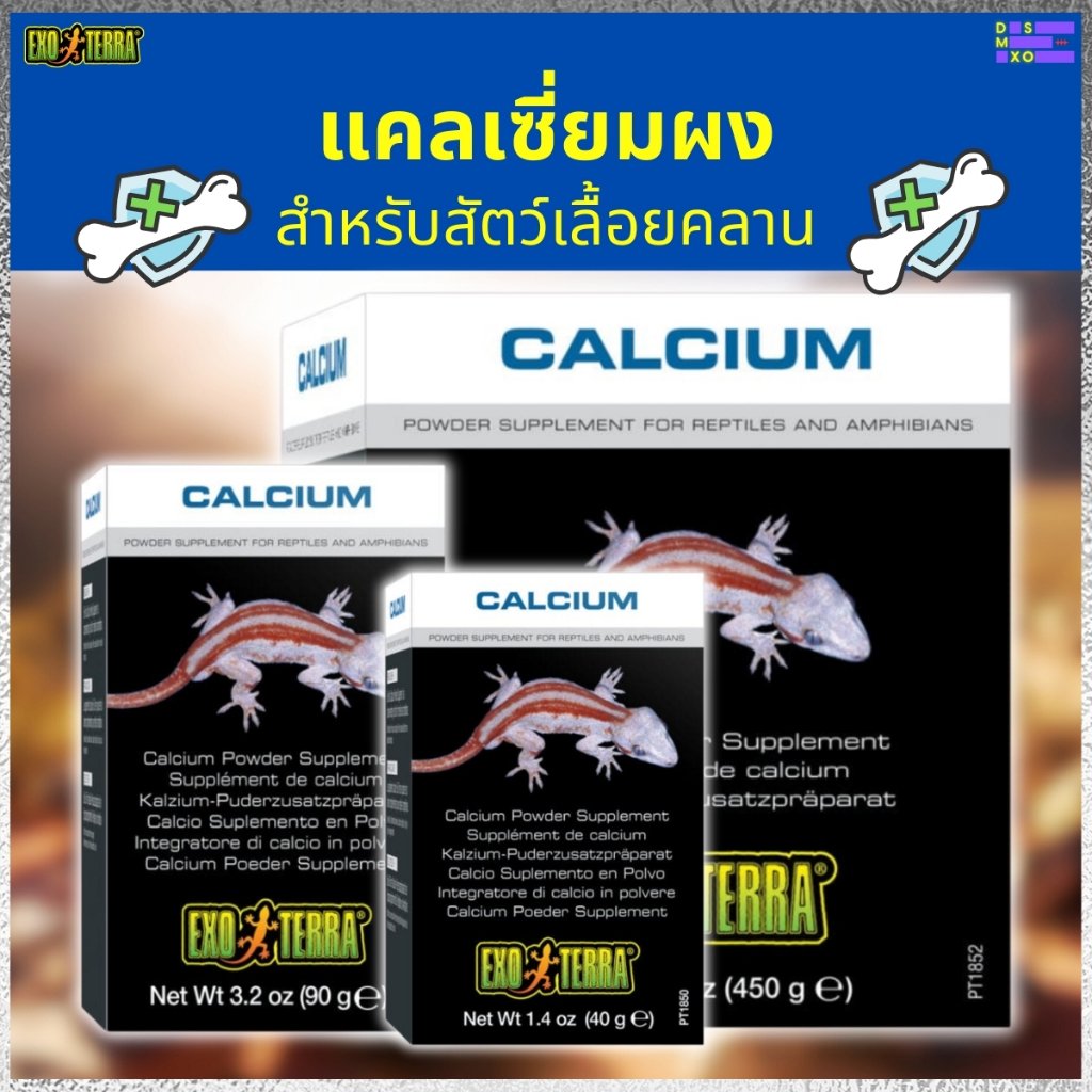Exo Terra® Calcium Powder Supplement PT1850 40g / PT1851 90g / PT1852 450g 🦎 แคลเซียมเสริมสัตว์เลื้อยคลานและสัตว์ครึ่งบกครึ่งน้ำ DSMXO Exo Terra® Calcium Powder Supplement PT1850 40g / PT1851 90g / PT1852 450g 🦎 แคลเซียมเสริมสัตว์เลื้อยคลานและสัตว์ครึ่งบกครึ่งน้ำ DSMXO