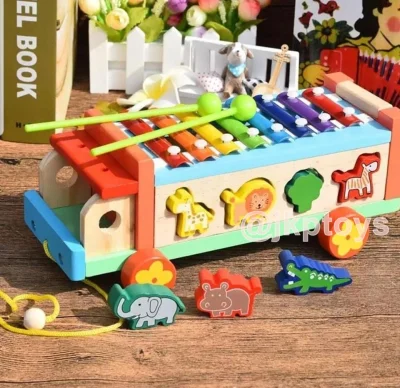 Todds & Kids Toys Xylophone car/ Shape Sorting