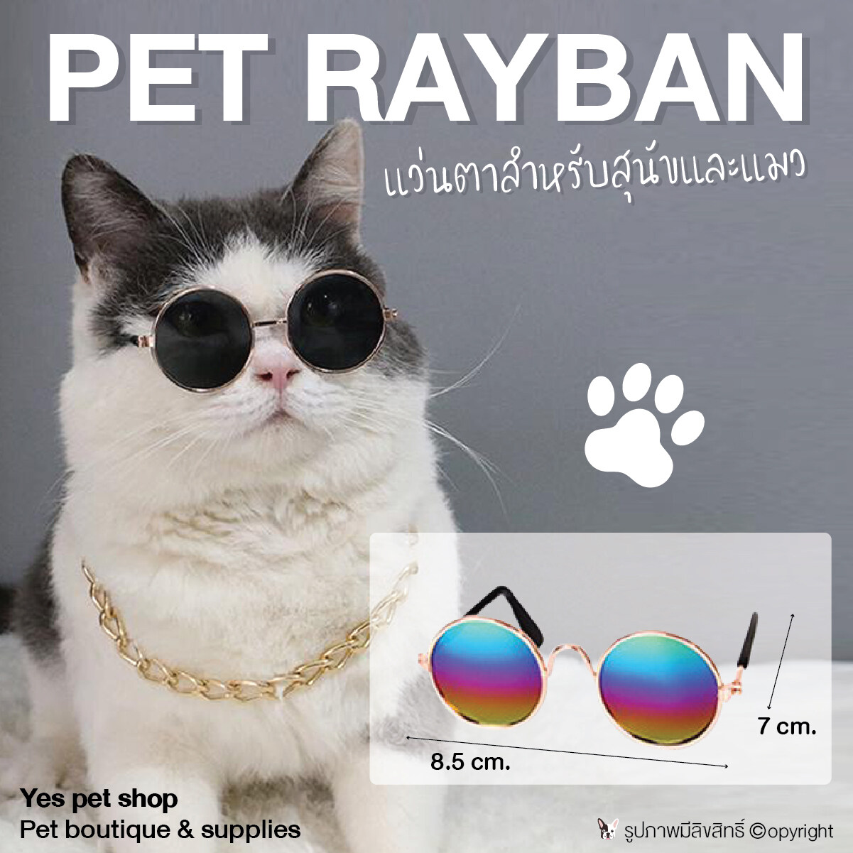 แว่นตาแมว แว่นตาสุนัขพันธุ์เล็ก แว่นตาสัตว์เล็ก Pet แว่นตาสัตว์เลี้ยง สีรุ้ง โดย Yes Pet Shop