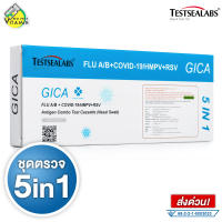 [ชุดตรวจ 5in1] Testsealabs Gica ATK Flu A/B+Covid-19/HMPV+RSV ชุดตรวจ ไข้หวัดใหญ่สายพันธุ์เอ สายพันธุ์บี โควิด 19 อาร์เอสวี อะดีโน และเชื้อแบคทีเรียไมโค นิวโมเนียอี