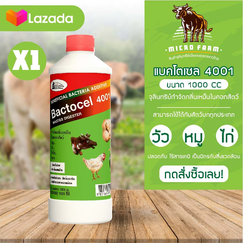 Bactocel 4001 แบคโตเซล 4001 ขนาด 1000 ml 1 ขวด ดับกลิ่นเหม็นคอกสัตว์ จุลินทรีย์คอกสัตว์ ยาดับกลิ่นคอกสัตว์ จุลินทรีย์กำจัดกลิ่น กำจัดกลิ่น ราคา 300 บาท*ส่งฟรี