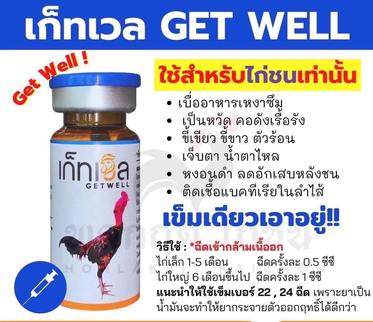 เกรทเวล GET WELL