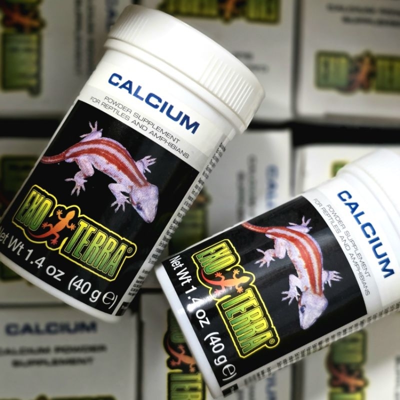 Exo Terra® Calcium Powder Supplement PT1850 40g / PT1851 90g / PT1852 450g 🦎 แคลเซียมเสริมสัตว์เลื้อยคลานและสัตว์ครึ่งบกครึ่งน้ำ DSMXO Exo Terra® Calcium Powder Supplement PT1850 40g / PT1851 90g / PT1852 450g 🦎 แคลเซียมเสริมสัตว์เลื้อยคลานและสัตว์ครึ่งบกครึ่งน้ำ DSMXO