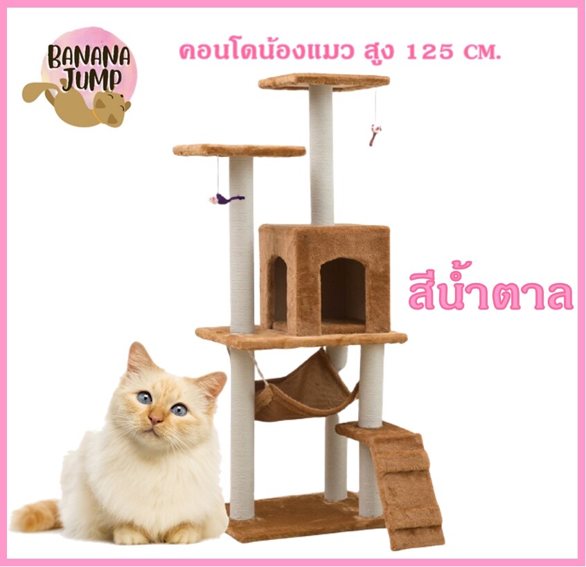 BJ Pet - คอนโดแมว สูง 125 ซม.