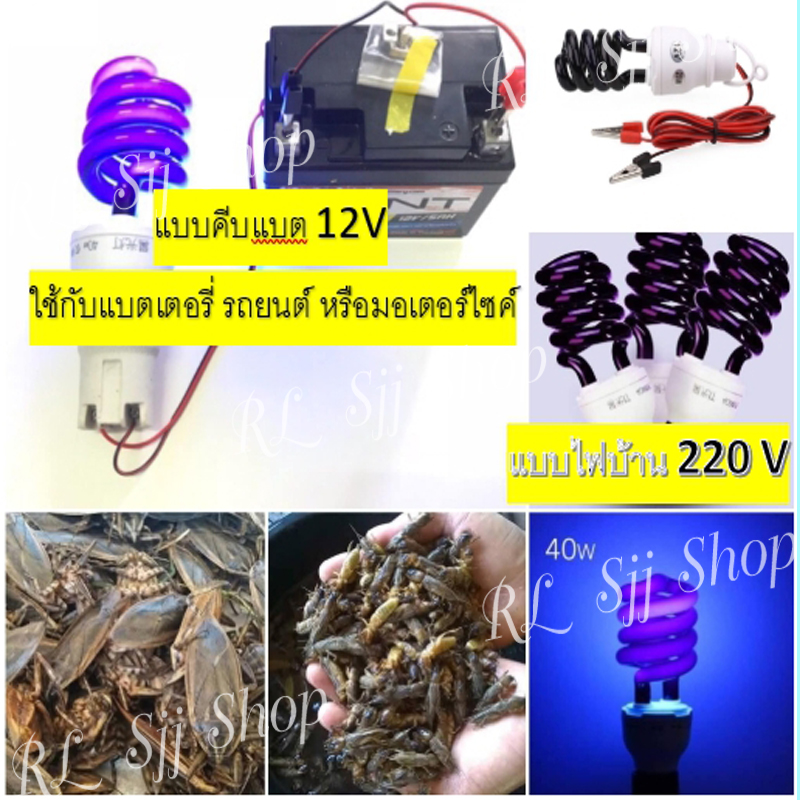 หลอดไฟ Black light หลอดไฟดักจับแมลง ไฟม่วงดักแมลง ไฟผับ หลอดไฟเรืองแสง ไฟและของตกแต่ง / ไฟ / หลอดไฟ / หลอดแบล็คไลท์ หลอดBlack Light UVA สำหรับล่อแมลง ระยะเวลาในการใช้งาน 8000 ชม ประหยัดไฟ สามารถเปิดได้ตลอด24ชม ให้คลื่นแสงที่มีความยาวคลื่น 365 nm หลอดไฟไตร