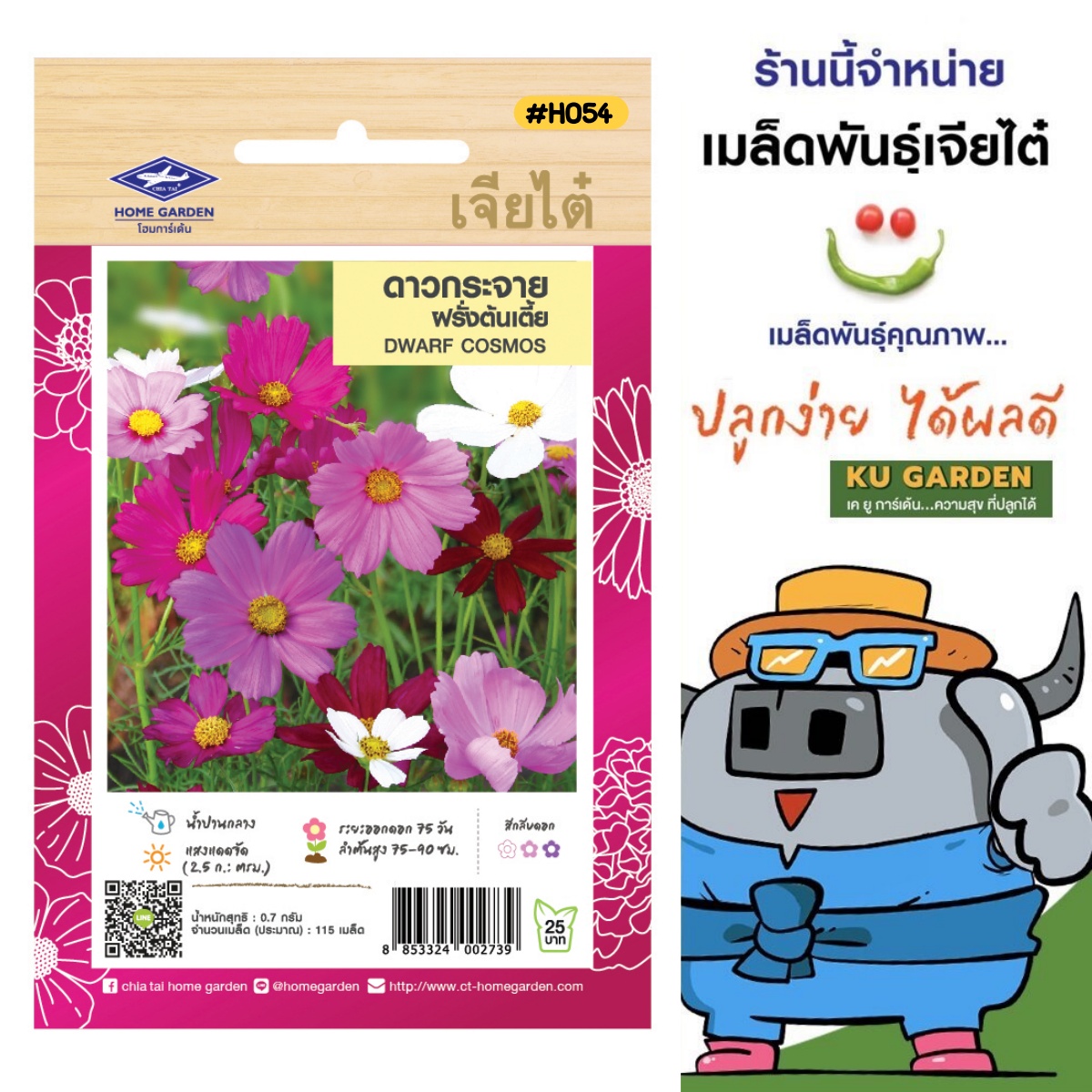 CHIATAI 🇹🇭 เมล็ดพันธุ์ดอกไม้ เจียไต๋ เจียไต๋ H054 ดาวกระจายฝรั่งต้นเตี้ย มล็ดพันธุ์ ดาวกระจาย ดอกไม้ เมล็ดดอกไม้ ตราเครื่องบิน