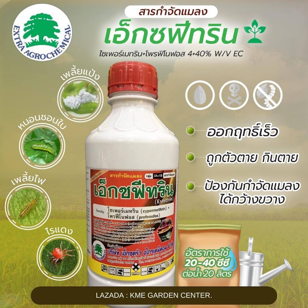 เอ็กซฟีทริน-1