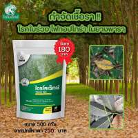 กำจัดเชื้อรา สาเหตุของโรคยางพาราใบร่วง เชื้อราไฟทอปโทร่า ใน ยางพารา ไตรโคเดอร์มา ไตรโคเร็กซ์ ปลอดภัยต่อคนและสัตว์เลี้ยง