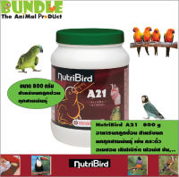 NutriBird  A21   800 g อาหารนกลูกป้อน สำหรับนก นกทุกสายพันธุ์ เช่น กระตั้ว อเมซอน เลิฟเบิร์ด ฟอพัส ซัน..