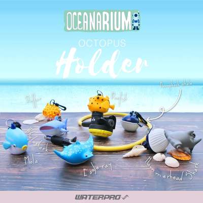 ดูภาพ Oceanarium Octopus Holder / อุปกรณ์สำหรับดำน้ำ <br/>เพิ่มเติม Oceanarium Octopus Holder / อุปกรณ์สำหรับดำน้ำ