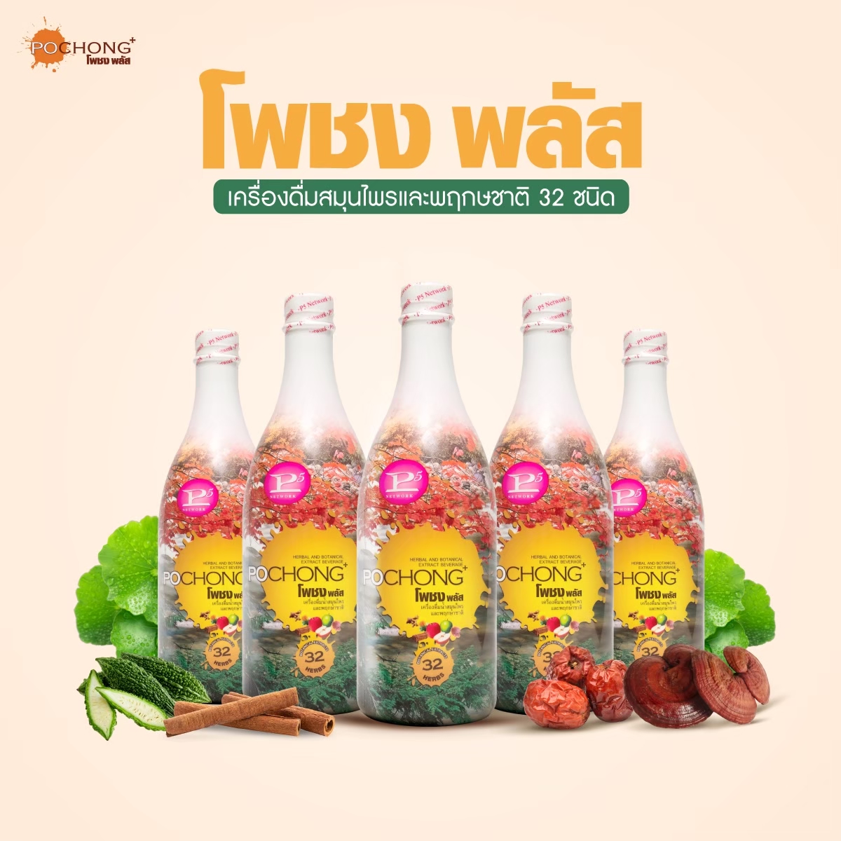 โพชง พลัส (POCHONG PLUS) 5 ขวด