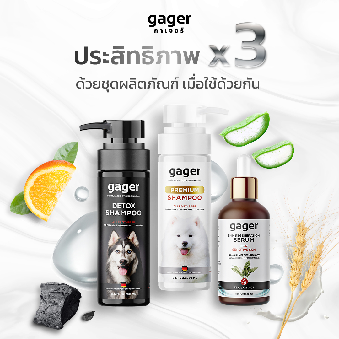 Gager (กาเจอร์) เซ็ตประสิทธิภาพx3 แชมพูอาบน้ำสุนัข แชมพูอาบน้ำหมาสูตรDetox(250ml.)+สูตรบำรุงขนสวย ขนนิ่ม กลิ่นหอม(250ml.)+เซรั่มนาโนซิลเวอร์(30ml.) ราคา 740 บาท*ส่งฟรี