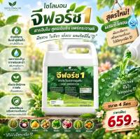 จีฟอร์ซวัน 4 ลิตร สูตรใหม่เพิ่มซิลิคอน สารจับใบเร่งการดูดซึม สูตรเข้มข้น นำเข้าจากเยอรมันนี สูตรไม่มีแอลกอฮอล์ ไม่ทำร้ายใบพืช