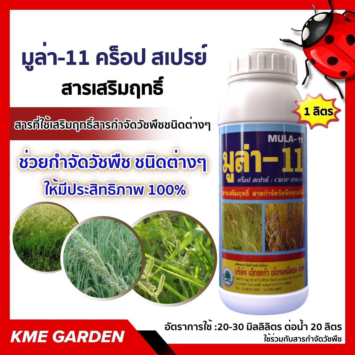 🍁วัชพืช🍁 สารเสริมฤทธิ์ มูล่า-11 พาราฟินออยล์ คร็อป สเปรย์ สารเสริมประสิทธิภาพสารกำจัดวัชพืช เป็นสารที่ใช้ ฆ่าหญ้า
