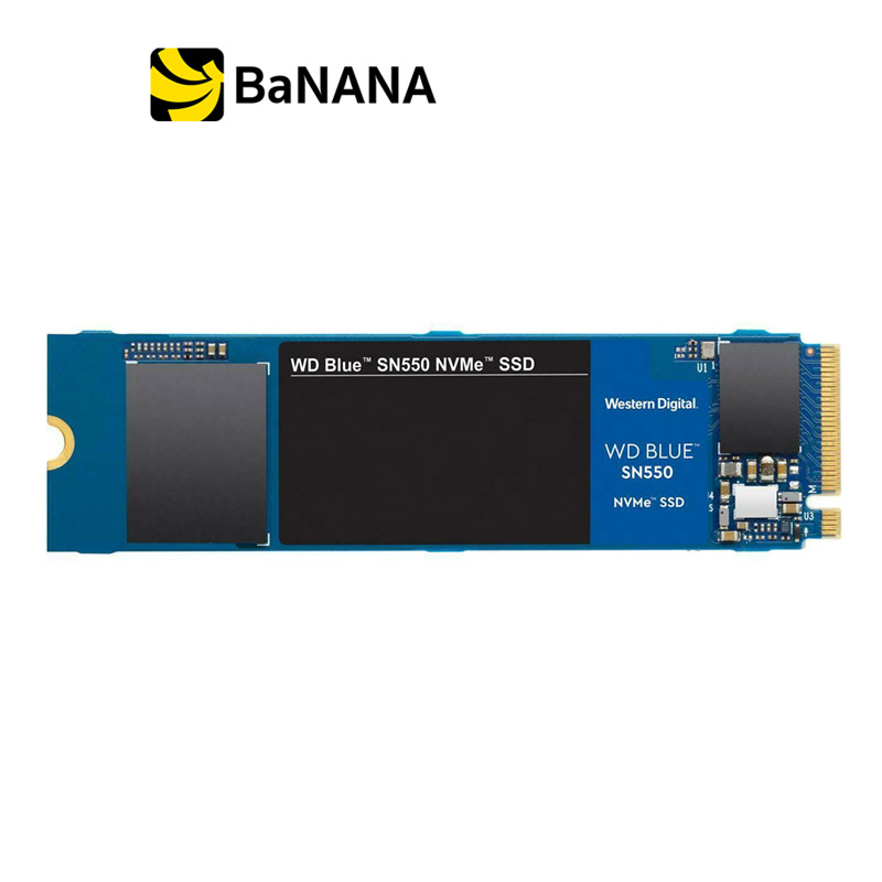 [อุปกรณ์จัดเก็บข้อมูล] WD SSD 500GB M.2 PCle/NVMe R2400MB/s W1750MB/s Blue 5 Year (SN550 NVMe) by Banana IT