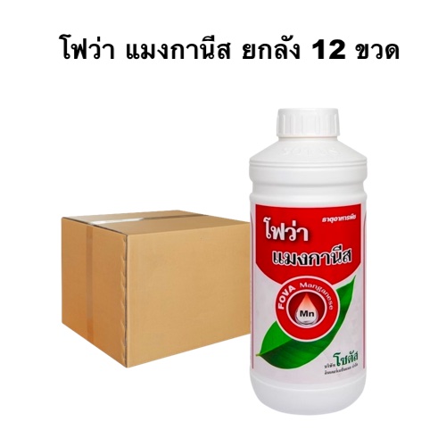 โฟว่า แมงกานีส-3