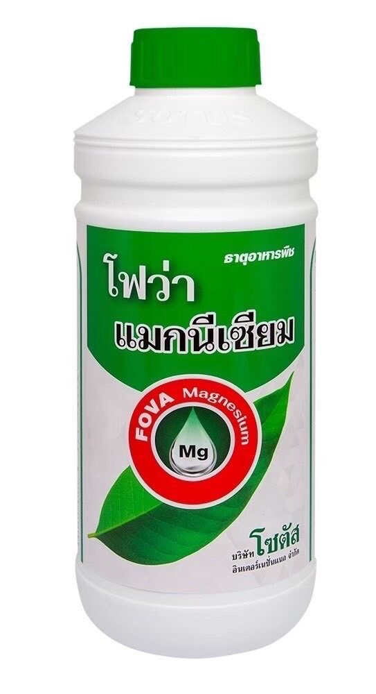 โฟว่า แมกนีเซียม-1