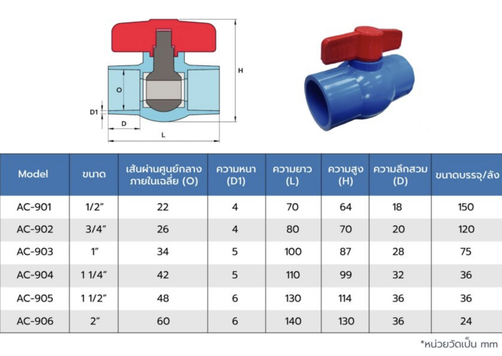 ACECO5ตัว-2