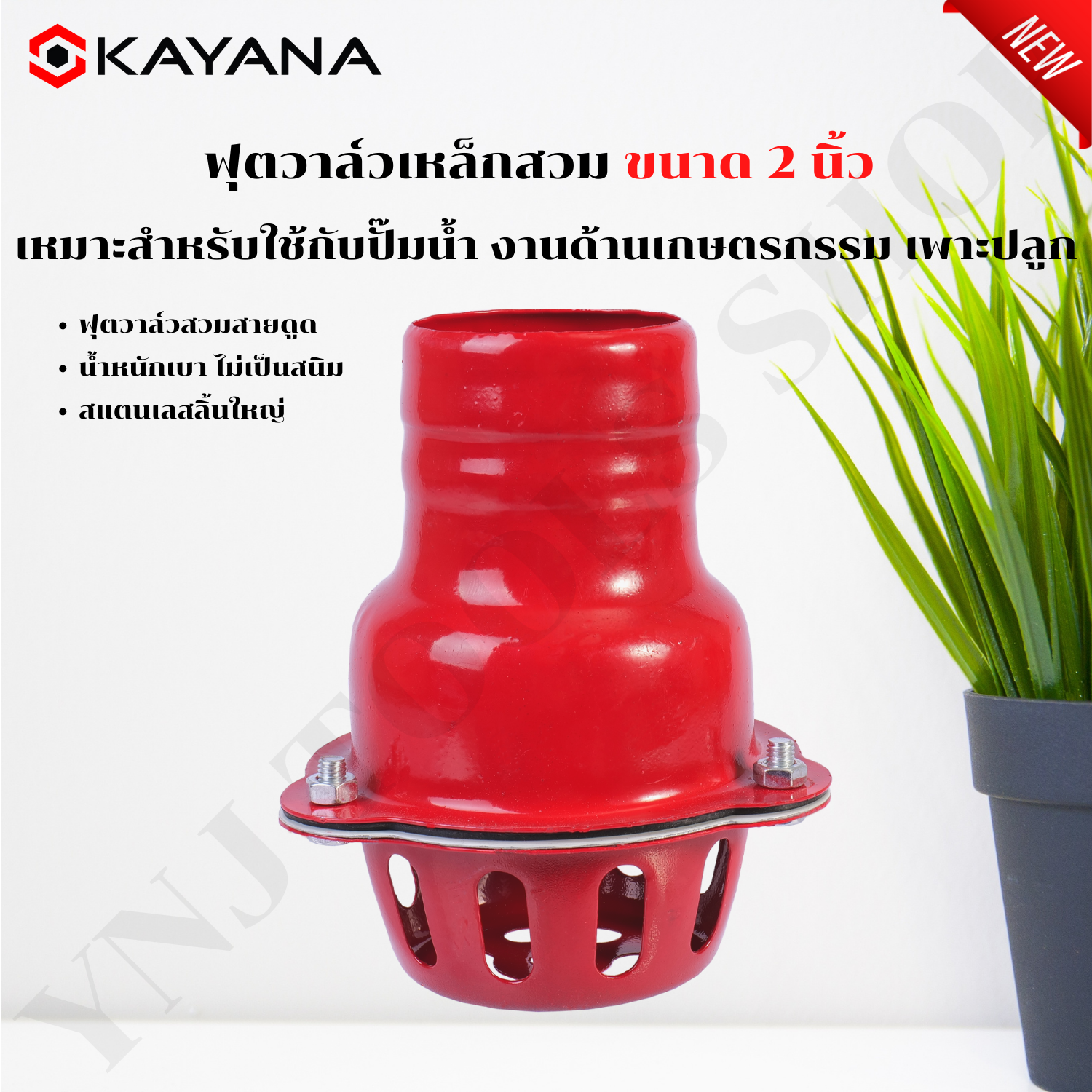 Kayana Water Suction Skull Head, Steel Foot Valve, Large Tongue, No Rust, Size 2 Inches, Steel Skull Head. Use with Water Pumps ราคา 115 บาท*ส่งฟรี