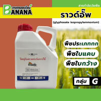 ราวด์อั๊พ (แกลอน) หมาแดง สารกำจัดวัชพืชดูดซึม หญ้าคา หญ้าตีนกา ใบแคบ ใบกว้าง สาบม่วง สาบเสือ หญ้ากำมะหยี่ยี่