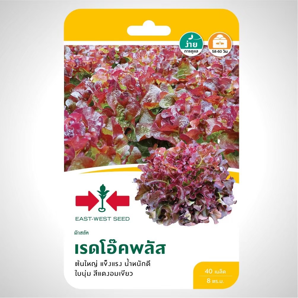 สีเขียว-1