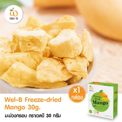 Wel-B Freeze-dried Mango 30g.