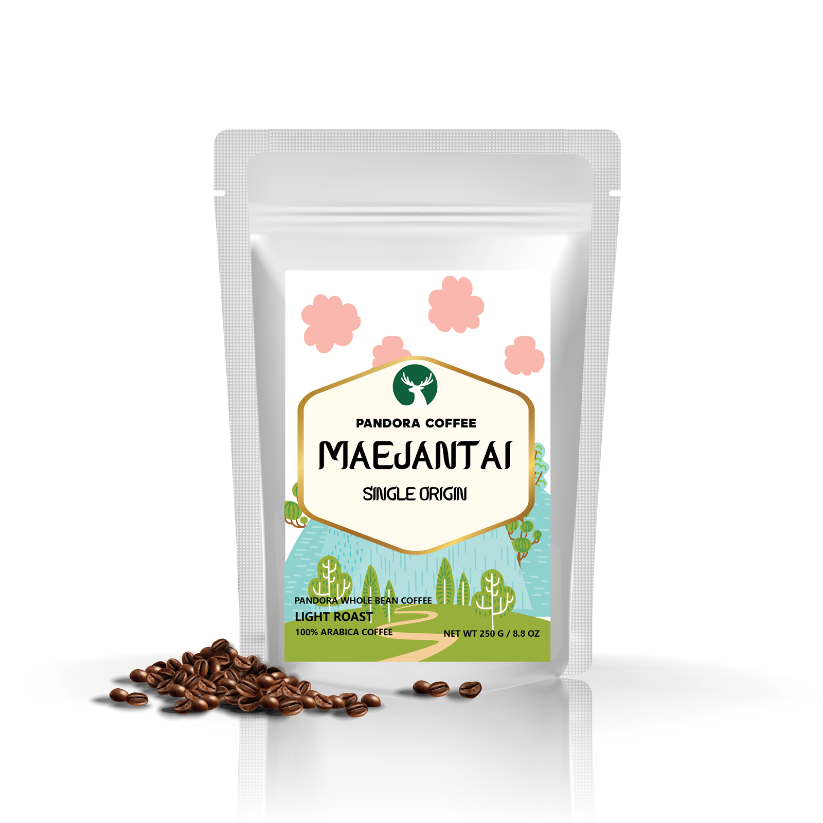 Pandora Coffee เมล็ดกาแฟแม่จันใต้ Maejantai คั่วอ่อน Light Roast เกรด Specialty Coffee