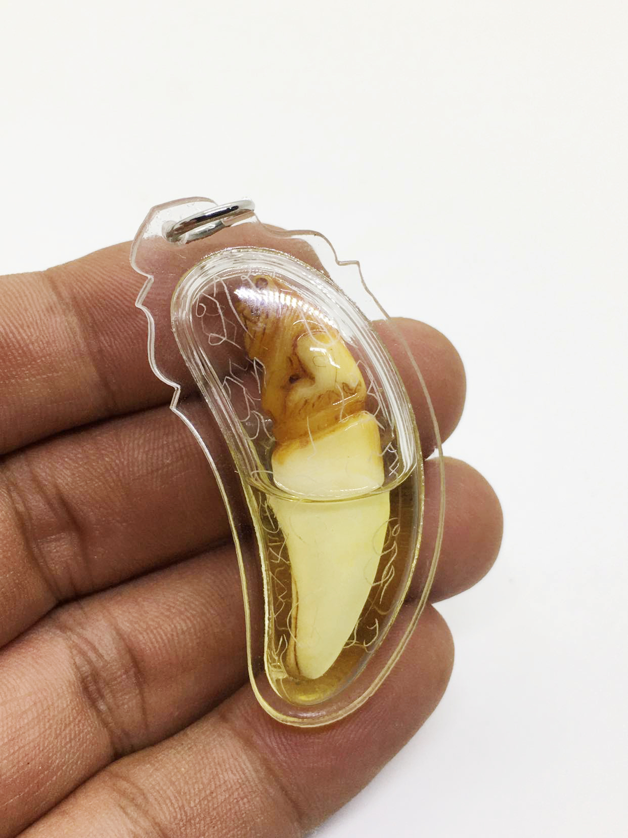 Tiger Paste, Carved with Tiger Patterns and Soaked in Sesame Oil. the Original Recipe from Luang Pho Pan, Wat Bang Hia, Has Been Written in the Ancient Script.