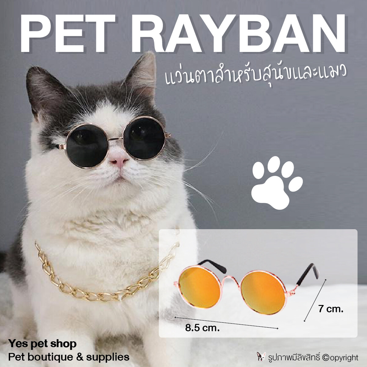 แว่นตาแมว แว่นตาสุนัขพันธุ์เล็ก แว่นตาสัตว์เล็ก Pet แว่นตาสัตว์เลี้ยง สีเหลือง โดย Yes Pet Shop