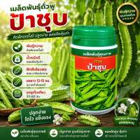 เมล็ดถั่วพู ป้าชุบ ตราเสือดาว ขนาด100กรัม เมล็ดพันธุ์ถั่วพู  เมล็ดพันธุ์ผัก เมล็ดผักสวนครัว เมล็ดถั่วพูใบไผ่