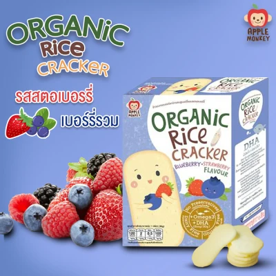 Healthy Baby's snack , Organic Rice Cracker, mixed berry