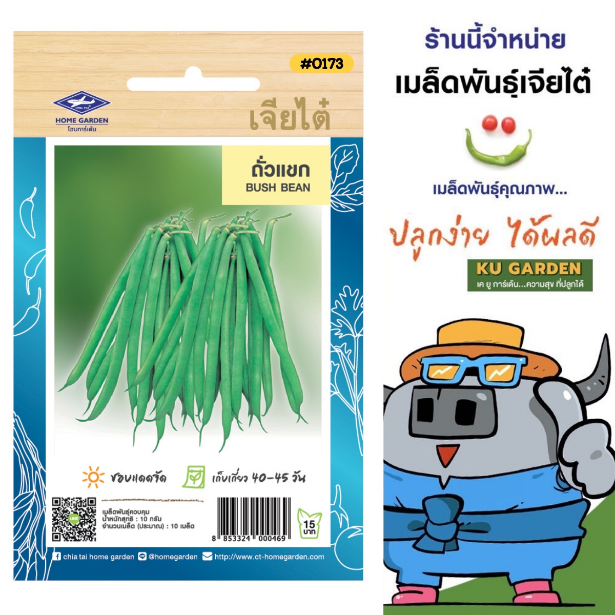 CHIATAI 🇹🇭 ผักซอง เจียไต๋ O173 ถั่วแขก เมล็ดพันธุ์ถั่ว ถั่วแขก ถั่ว เมล็ดพันธุ์ผัก เมล็ดผัก เมล็ดพืช ผักสวนครัว