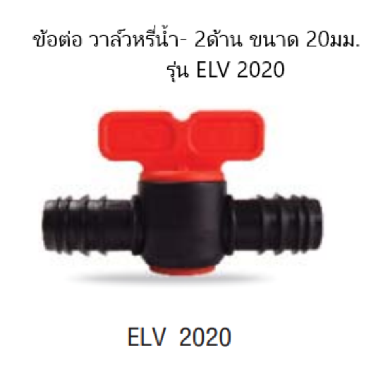 ส้ม-2