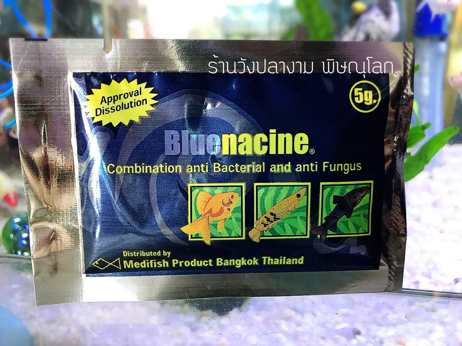 ยารักษาการติดเชื้อแบคทีเรีย Bluenacine