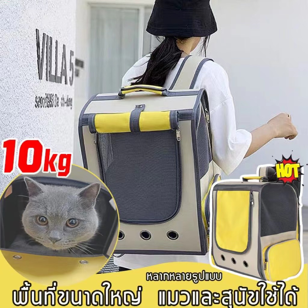 Pet Bag กระเป๋าแมว เป้สัตว์เลี้ยง 10KG ใบใหญ่มาก พับเก็บ