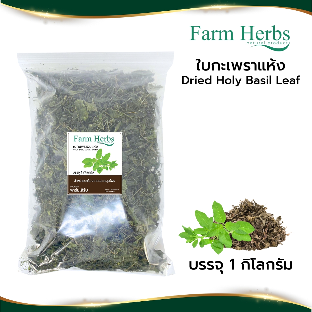 Dried Holy Basil Leaf, 100% Authentic Dried Holy Basil Leaf, Farm Herb Brand, Size 1 Kilogram. ราคา 1,757 บาท*ส่งฟรี