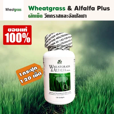 (1 กระปุก) Wheatgrass & Alfalfa Plus ผลิตภัณฑ์อาหารเสริม ผักอัดเม็ดแอมสตรอง เม็ดสีดำ ช่วยในการบำรุงสายตา เสริมวิตามินให้ร่างกาย