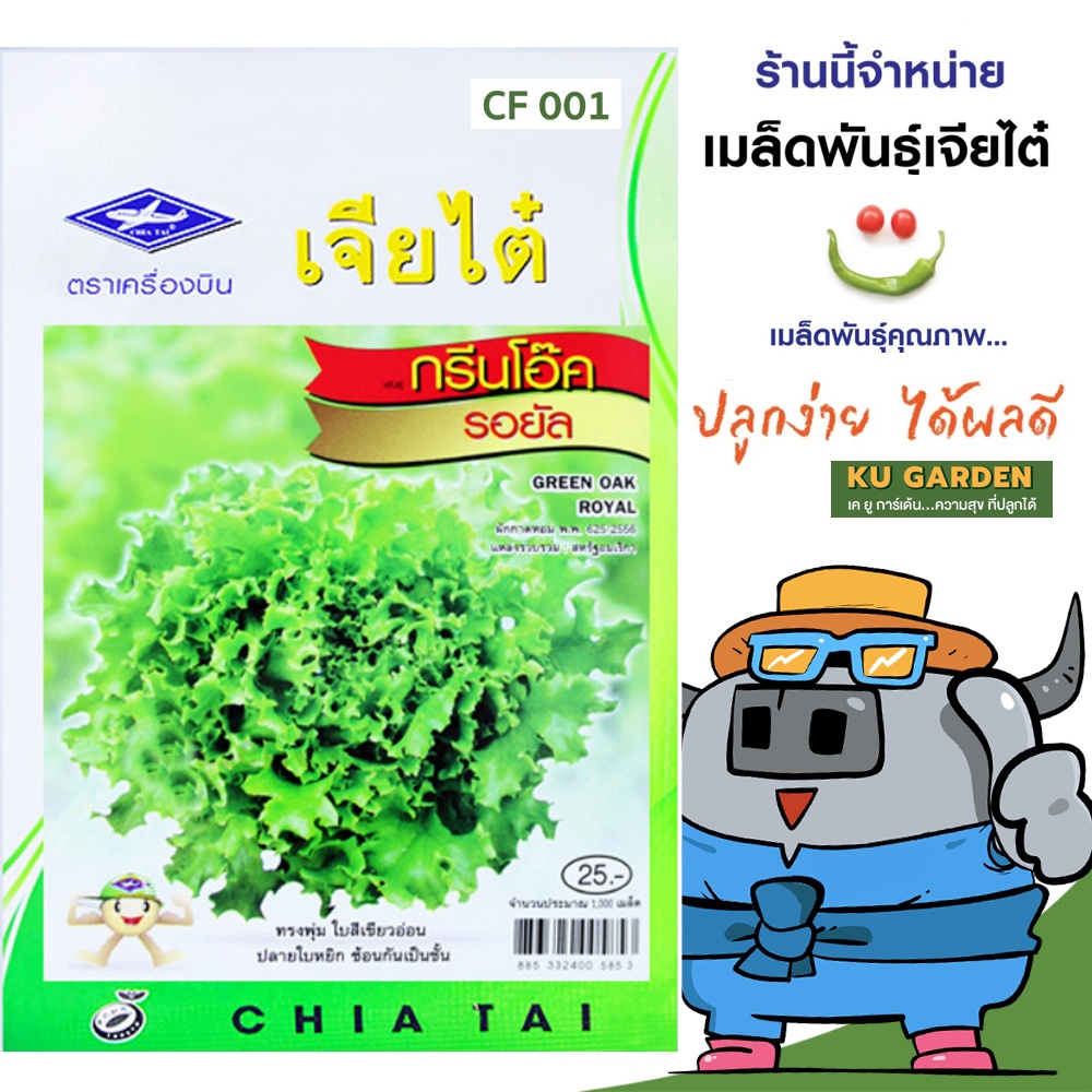 CHIATAI 🇹🇭 ผักซอง เจียไต๋ F001 # กรีนโอ๊ครอยัล จำนวนประมาณ 1,000 เมล็ด กรีนโอ๊ค สลัด เมล็ดพันธุ์ผัก เมล็ดผัก เมล็ดพืช ผักสวนครัว