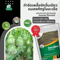 กำจัดแมลงศัตรูพืช ยาฆ่าเพลี้ยจักจั่นเขียว ในมะเขือ และ พืชทุกชนิด บิวทาเร็กซ์ โดย ไดโนเร็กซ์